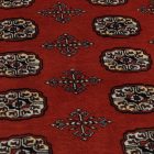 Tapis Boukhara 244x336 bordeaux pakistanais fait main
