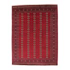 Tapis pakistanais Boukhara 280x366 tapis oriental fait main