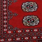 Grand tapis bordeaux Boukhara 278x372 tapis de salon pakistanais fait main