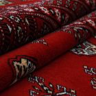 Grand tapis bordeaux Boukhara 278x372 tapis de salon pakistanais fait main