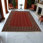 Tapis oriental Aqcha mauri 207x296 tapis salon, tapis chambre
