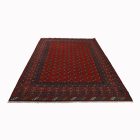 Tapis oriental Aqcha mauri 179x240 tapis salon, tapis chambre
