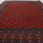 Tapis oriental Aqcha mauri 179x240 tapis salon, tapis chambre