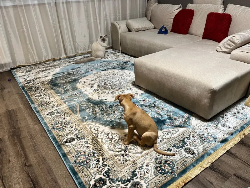 Pourquoi choisir un tapis classique ?